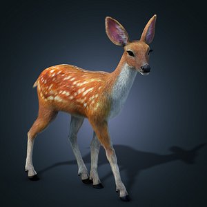 sika deer FUR ANIMATED