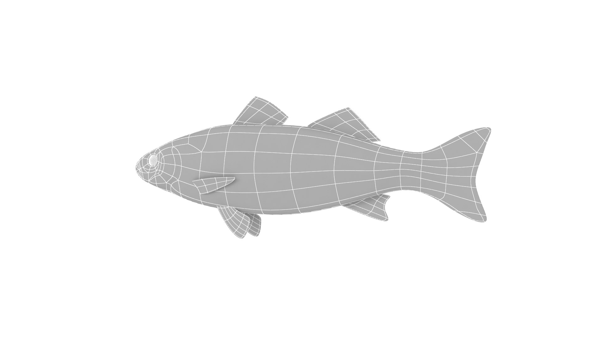Fish Collection model - TurboSquid 1932291