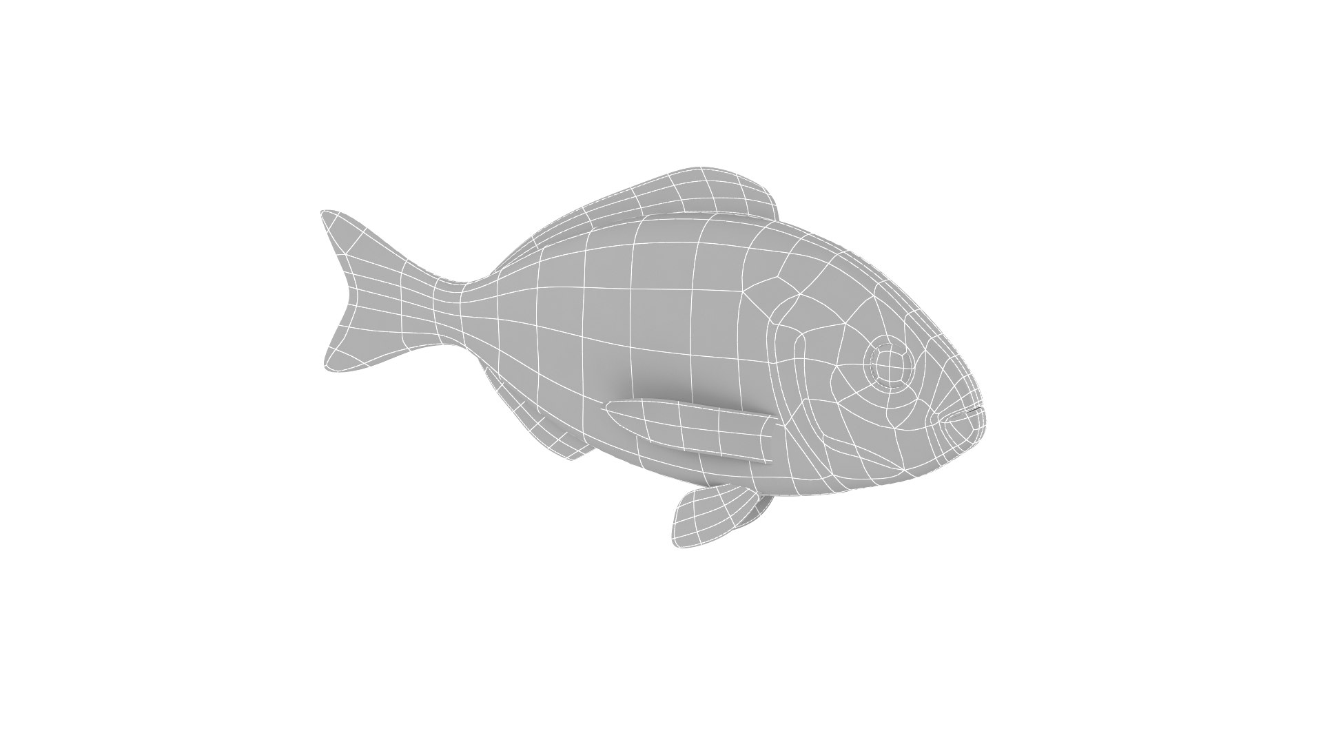 Fish Collection model - TurboSquid 1932291