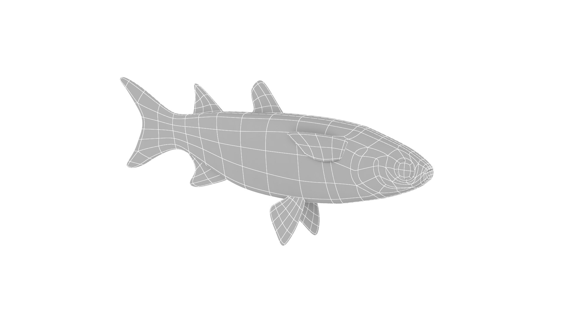 Fish Collection model - TurboSquid 1932291