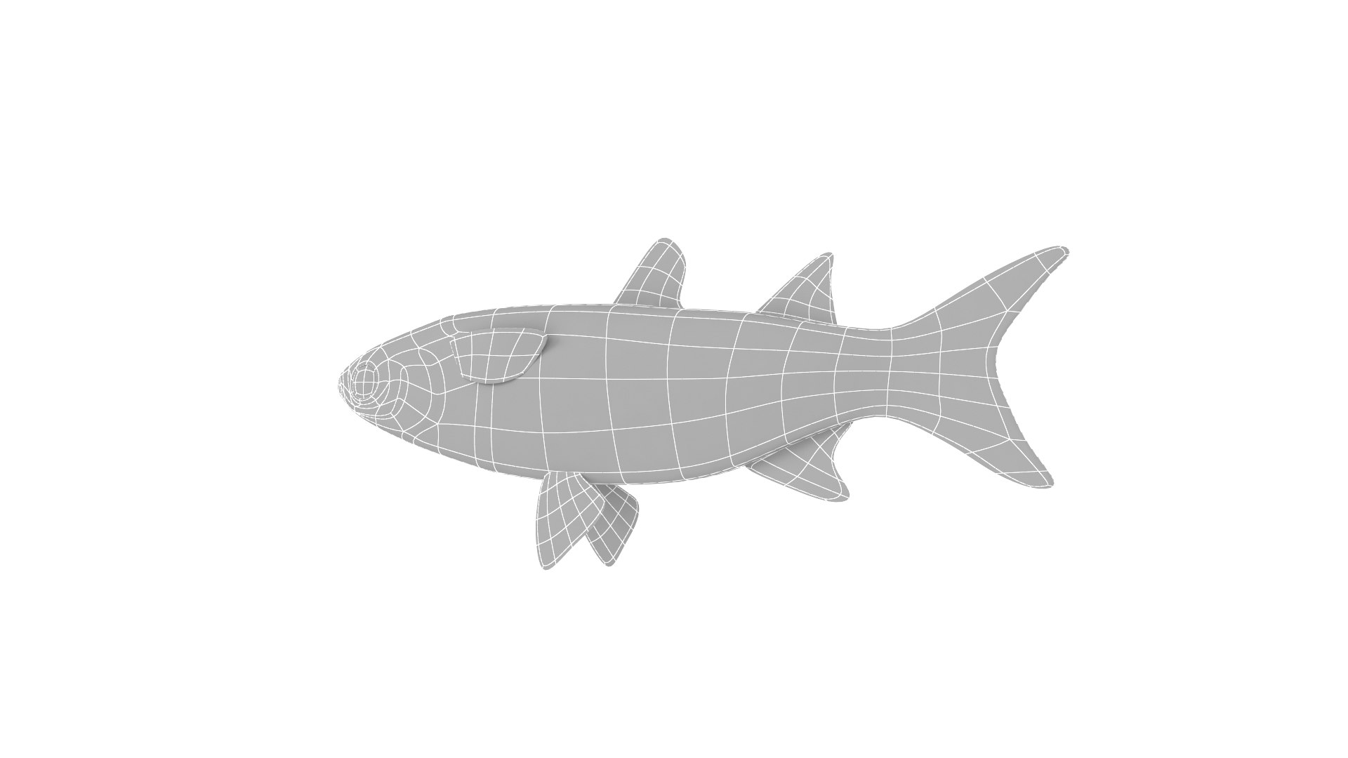 Fish Collection model - TurboSquid 1932291