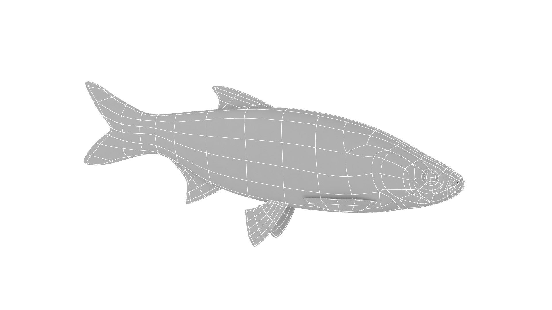 Fish Collection model - TurboSquid 1932291