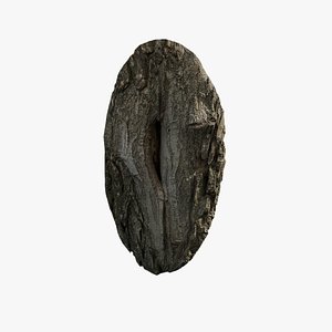 3D Anydrafts Salix matsudana Burl 10