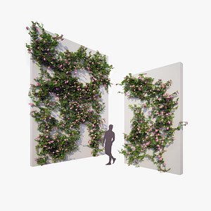 Generic Climbing Blooming Plants 2