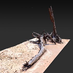 3D desert tree lying 01