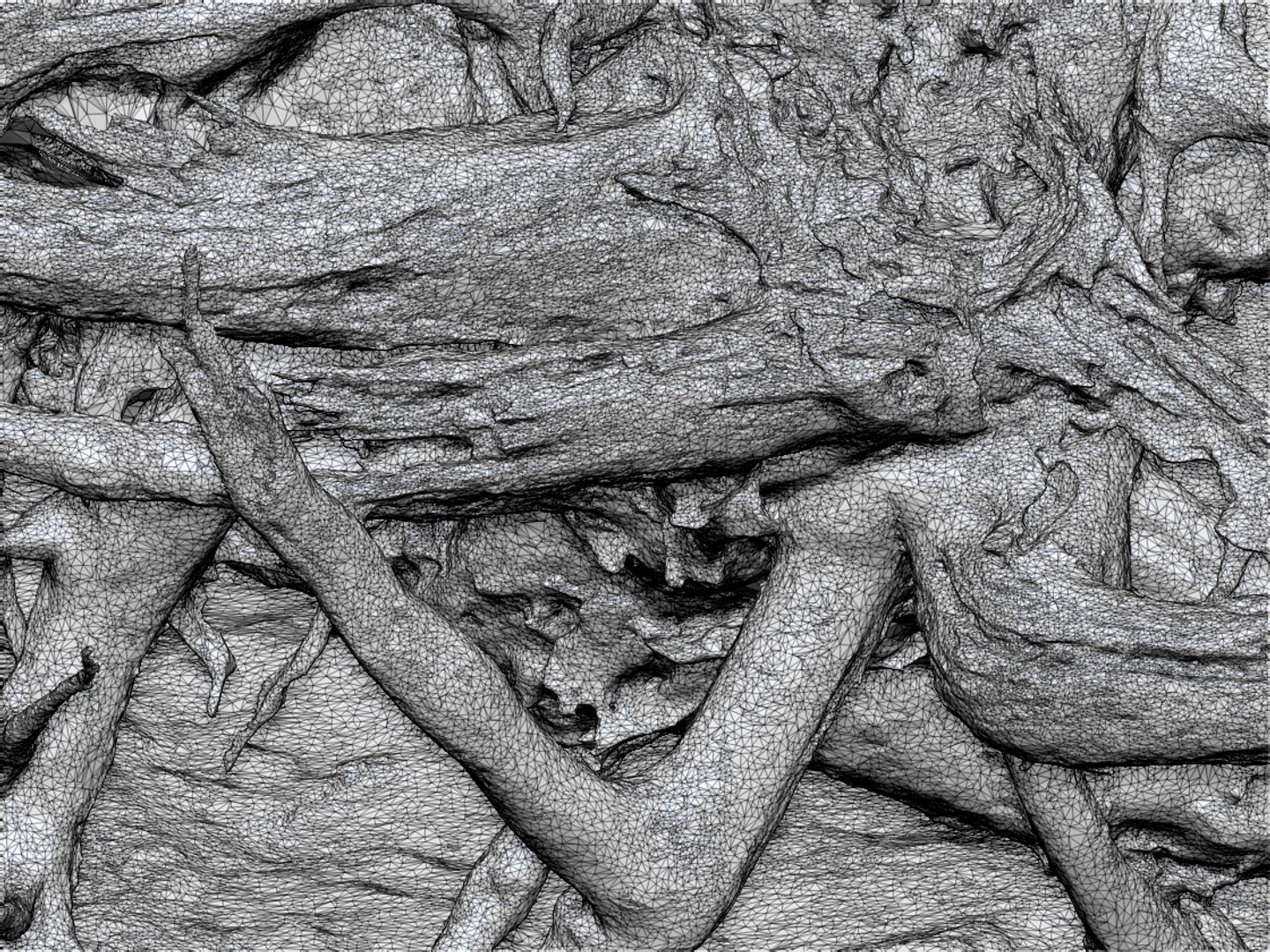3D desert tree lying 01 - TurboSquid 1380141