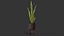 Sansevieria Plant 8K PBR Textures 3D model