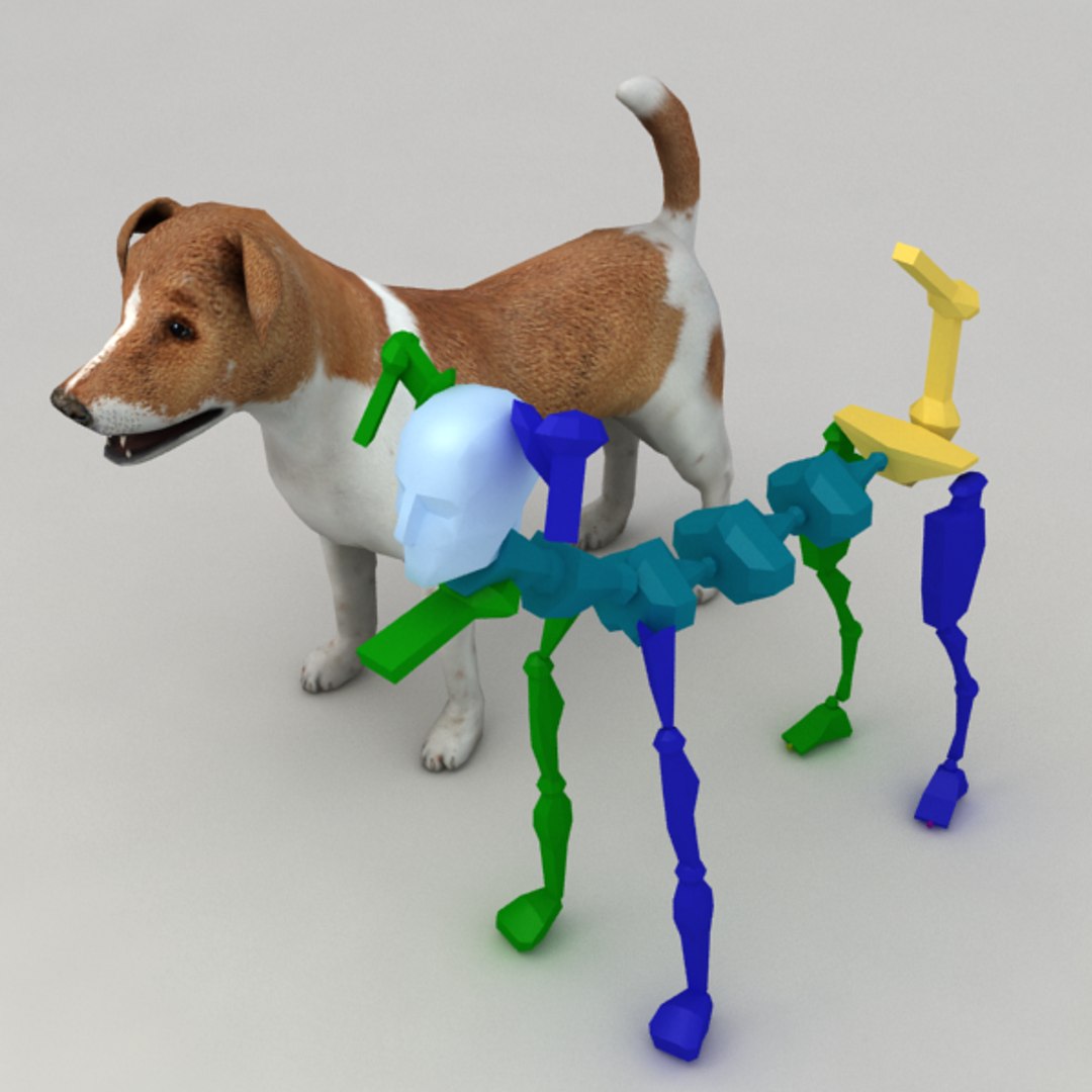 3d jack russell terrier https://p.turbosquid.com/ts-thumb/PW/7fmiFv/byUd0nbq/ter_v7/png/1348227711/1920x1080/fit_q87/8a410f4ff7f9009680b8ca7a51a26a14240f68dd/ter_v7.jpg