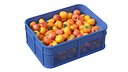 Persimmon Plastic Crate