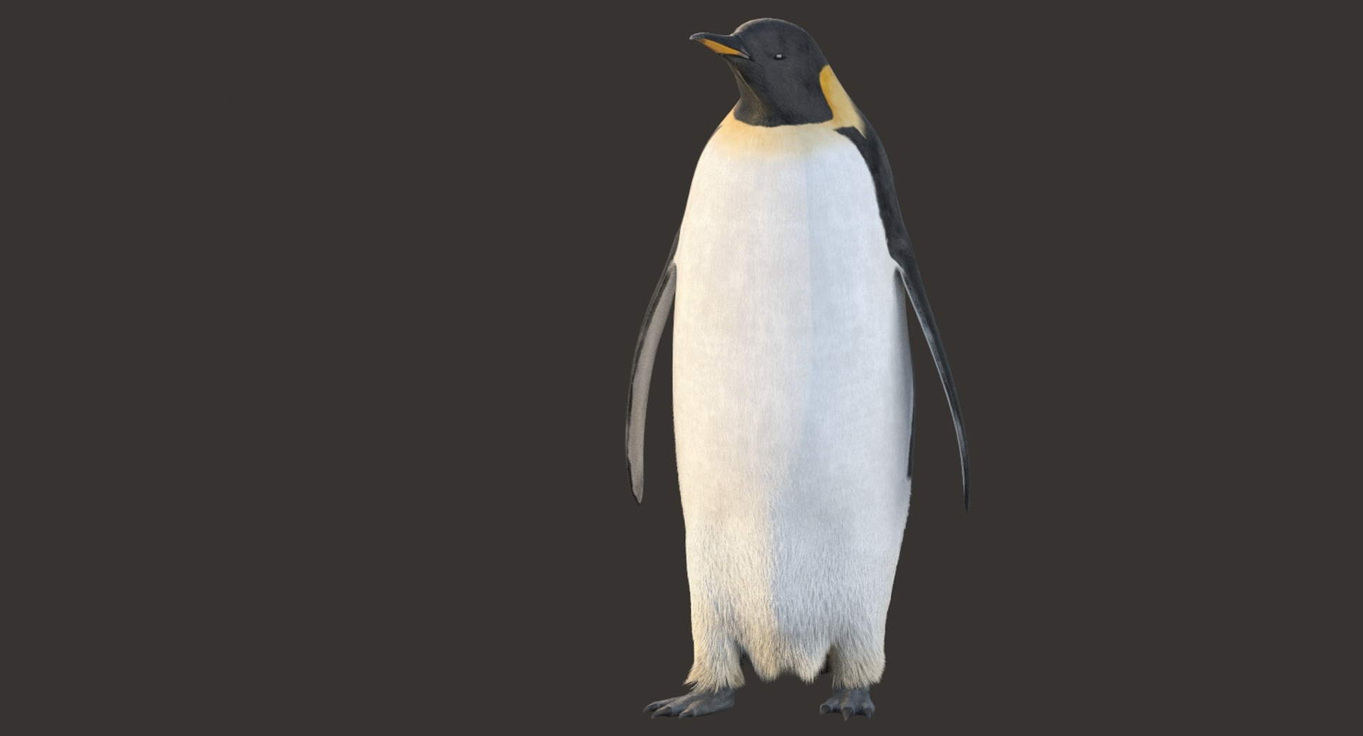 Group Emperor Penguins 3d Max