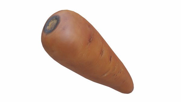 Carrot 3D model