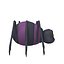 Spider Cartoon