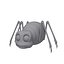 Spider Cartoon
