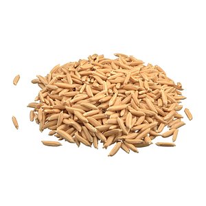 3D Dry Rice grain pile model