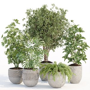 Indoor Outdoor Plants collection vol 105-3dmodel
