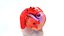 Human Heart Anatomy with Cross Section