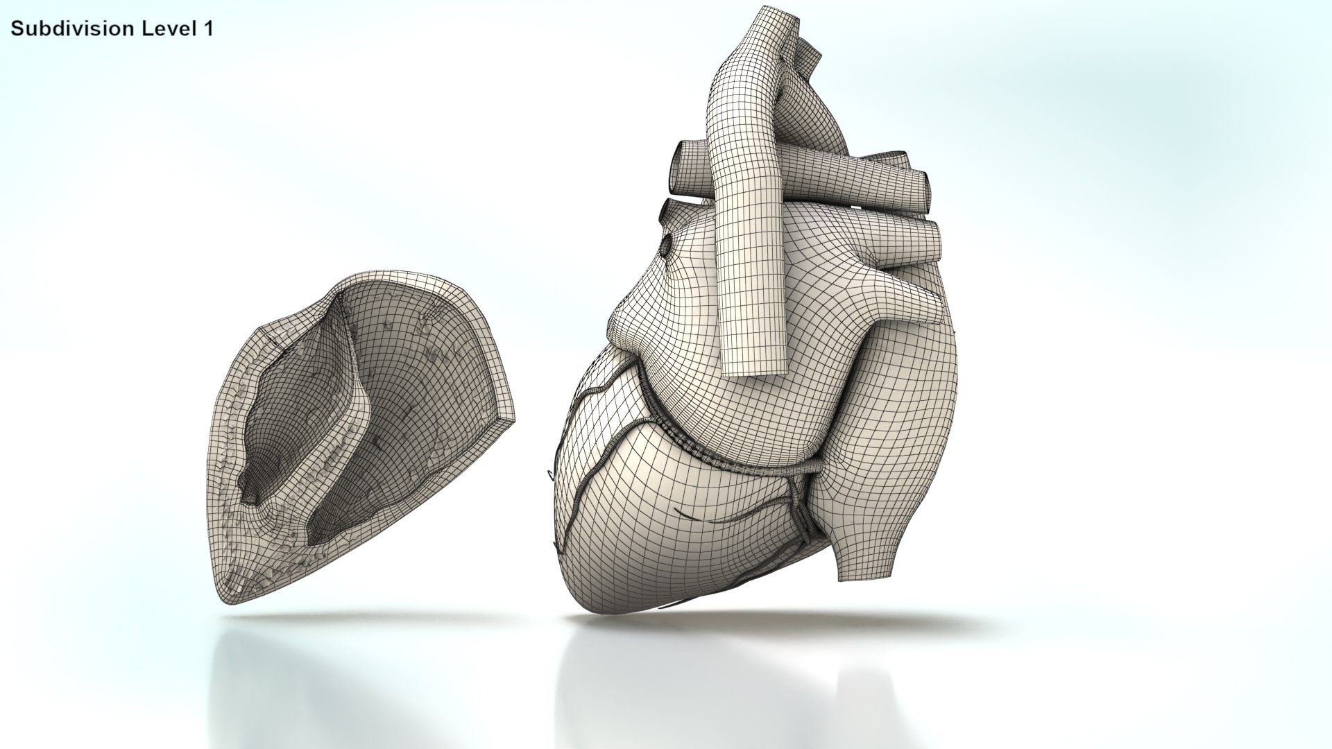 3D Human Heart Anatomy with Cross Section https://p.turbosquid.com/ts-thumb/PW/crR9po/XD/wire_humanheartanatomy0002/jpg/1622579078/1920x1080/fit_q87/9d971c3e466a408736e966e0e90e74d79bb06ca3/wire_humanheartanatomy0002.jpg