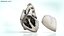 Human Heart Anatomy with Cross Section