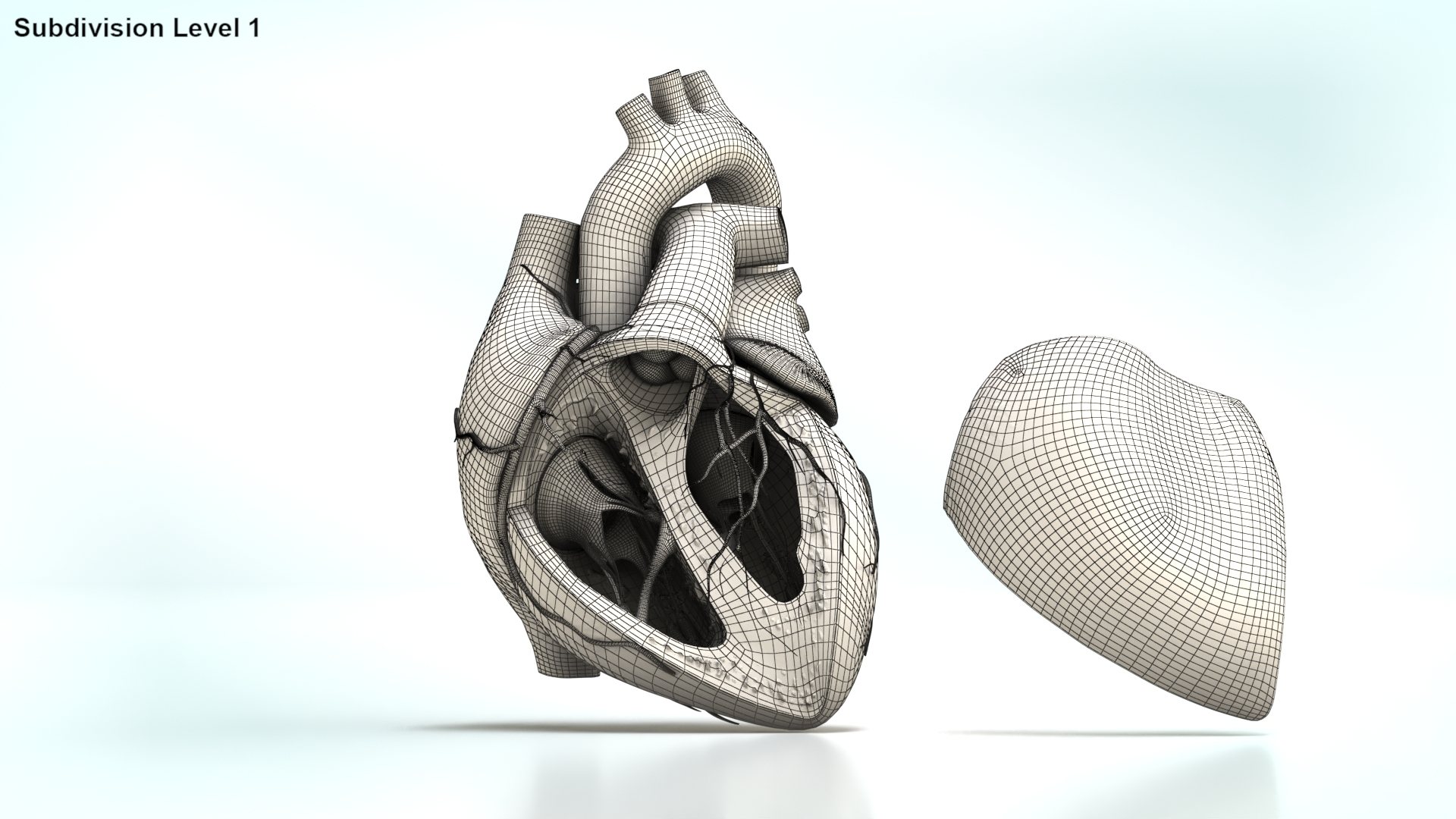 3D Human Heart Anatomy with Cross Section https://p.turbosquid.com/ts-thumb/PW/crR9po/di/wirea/jpg/1622573044/1920x1080/turn_fit_q99/c923a73939bb1425d1048178996abd8ddd676ebb/wirea-1.jpg