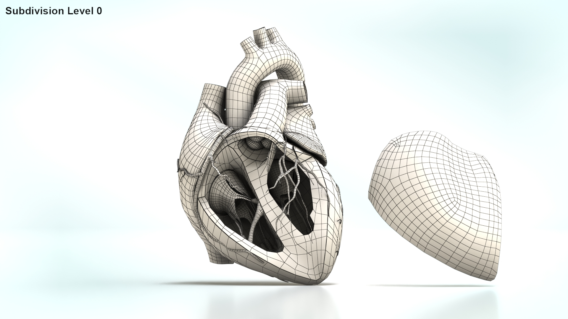 3D Human Heart Anatomy with Cross Section https://p.turbosquid.com/ts-thumb/PW/crR9po/g3/wire/jpg/1622579330/1920x1080/turn_fit_q99/47e6a0778a0b94e4a4c2c40d67c1508730d3b888/wire-1.jpg