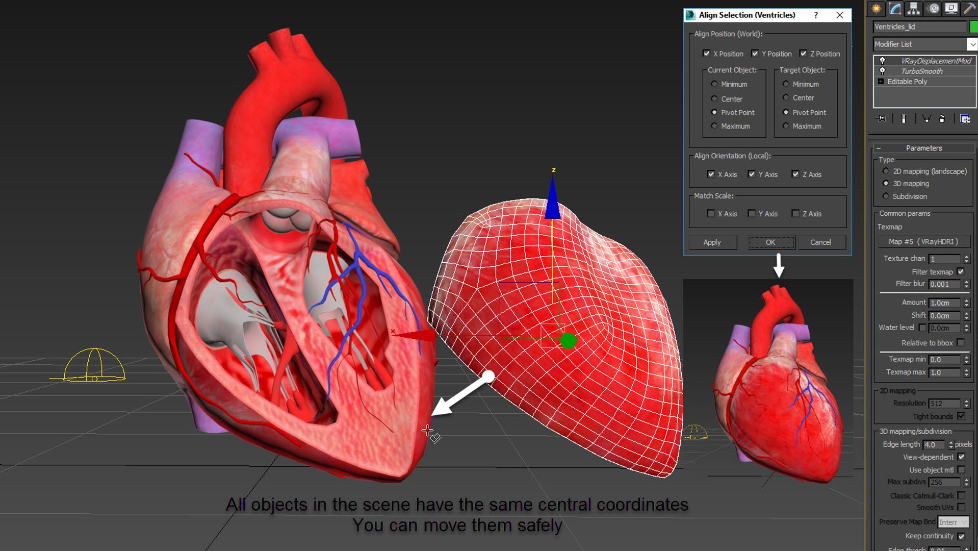 3D Human Heart Anatomy with Cross Section https://p.turbosquid.com/ts-thumb/PW/crR9po/mU/screenshotscenealign/jpg/1622572404/1920x1080/fit_q87/2697772074beba844a94aa1afe1a8544dbb45b28/screenshotscenealign.jpg