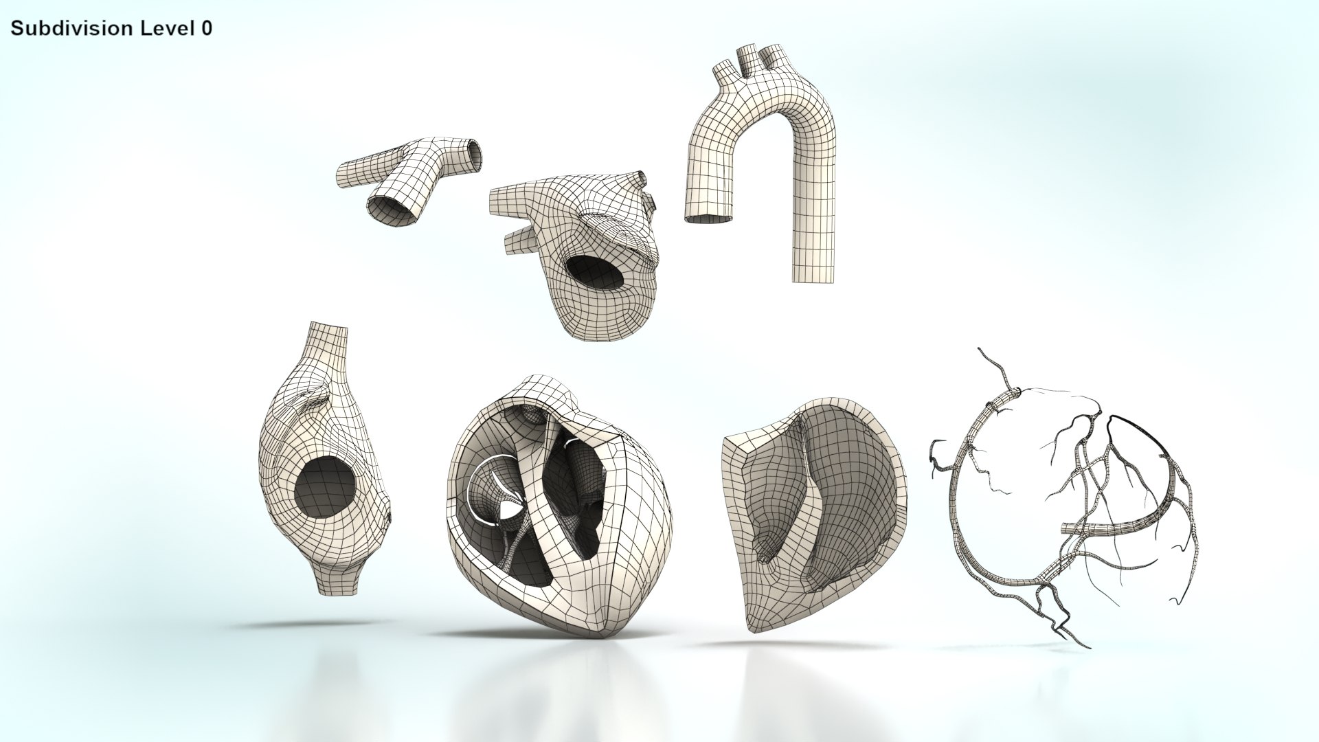 3D Human Heart Anatomy with Cross Section https://p.turbosquid.com/ts-thumb/PW/crR9po/me/wire_humanheartanatomy0009copy/jpg/1622579054/1920x1080/fit_q87/635c7c500faf64d7fd44b6718dafecbe7c3f58e1/wire_humanheartanatomy0009copy.jpg