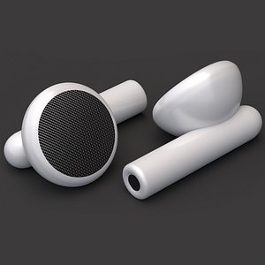 3D Earphones Earbuds model