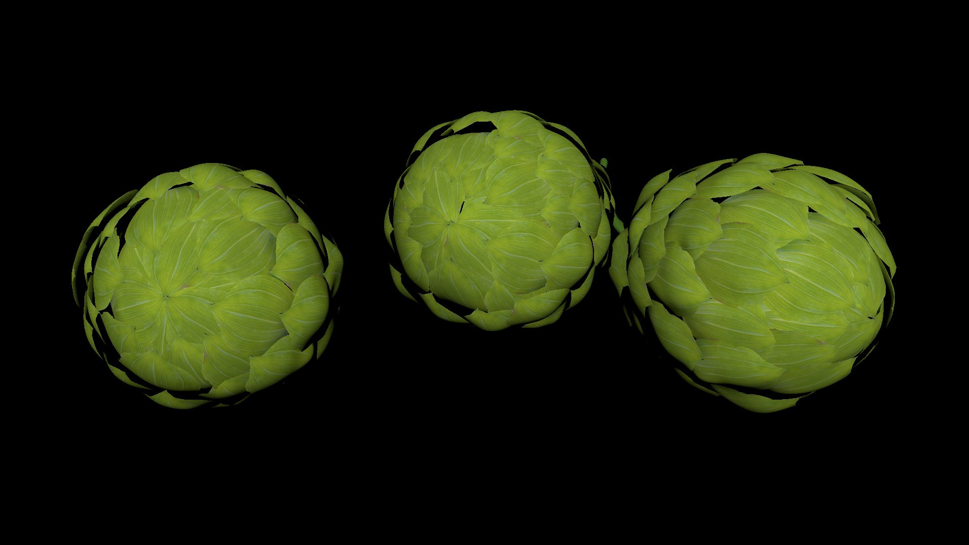 Hop animation model - TurboSquid 1684239