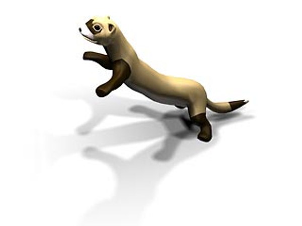 ferret animation 3d max