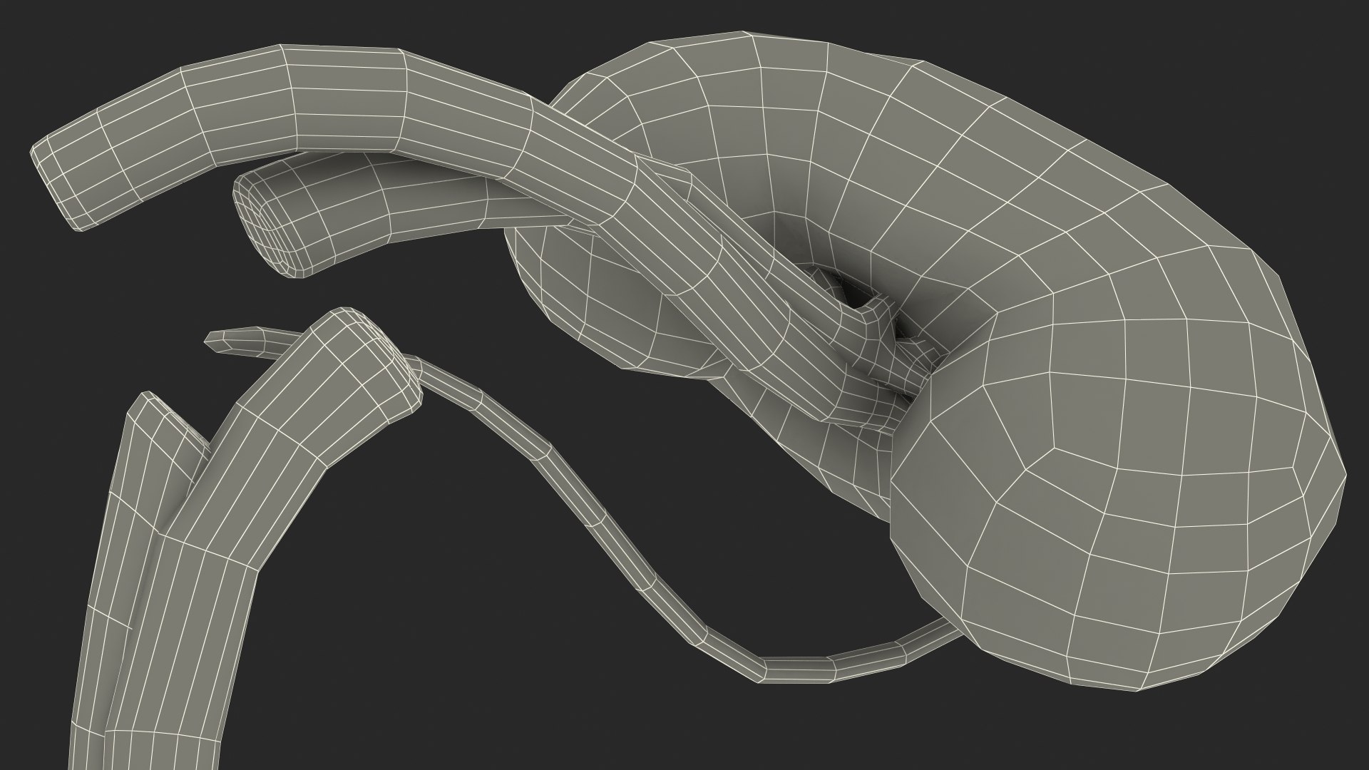 3D Child Kidney Anatomy model https://p.turbosquid.com/ts-thumb/PX/59QTiJ/Le/childkidneyanatomyvray3dmodel028/jpg/1639556745/1920x1080/fit_q87/c75998a75b31af09154cbc0016c8b6183b74ac5a/childkidneyanatomyvray3dmodel028.jpg