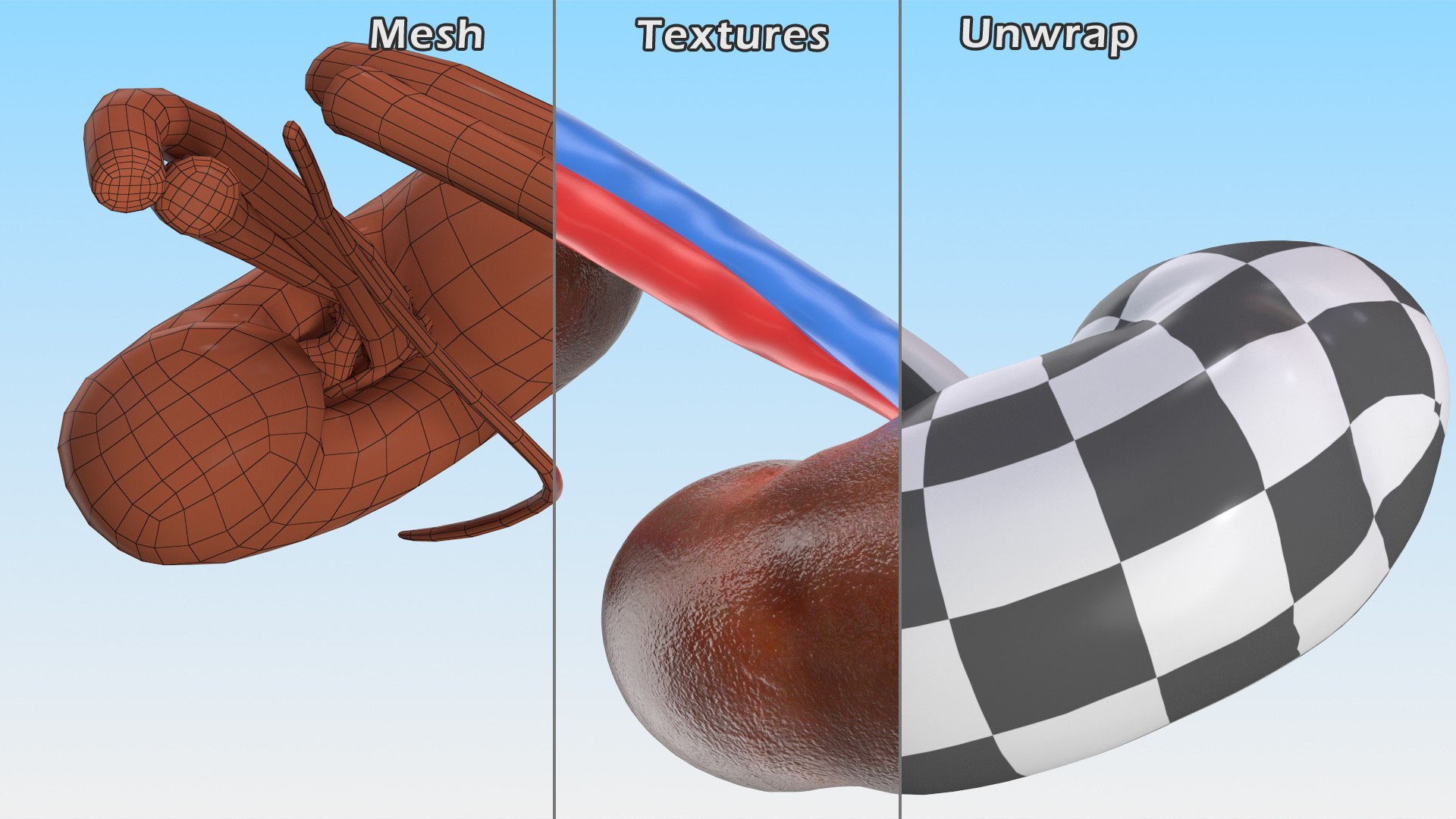 3D Child Kidney Anatomy model https://p.turbosquid.com/ts-thumb/PX/59QTiJ/Tw/childkidneyanatomyvray3dmodel016/jpg/1639556711/1920x1080/fit_q87/8ecc70520c512876226d5f8710688c8e445e7bdd/childkidneyanatomyvray3dmodel016.jpg