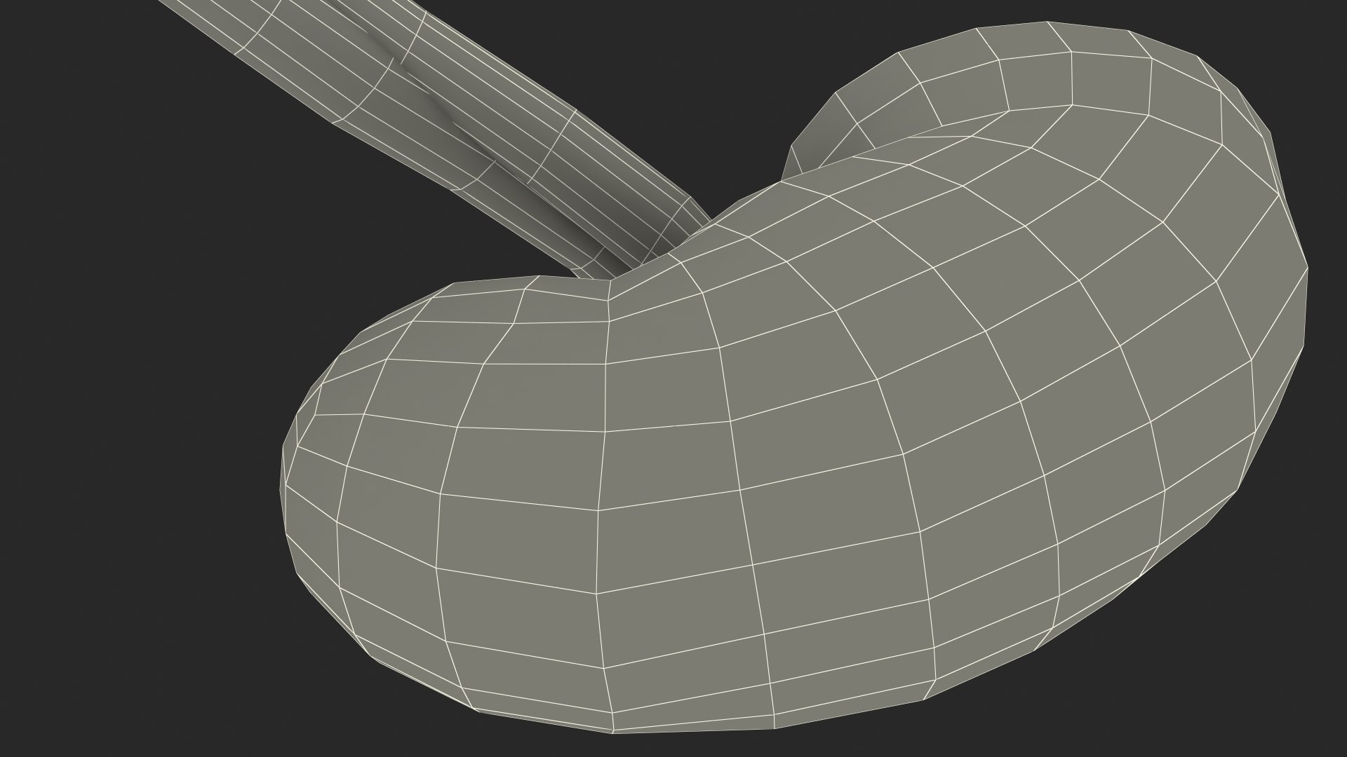 3D Child Kidney Anatomy model https://p.turbosquid.com/ts-thumb/PX/59QTiJ/Xa/childkidneyanatomyvray3dmodel029/jpg/1639556748/1920x1080/fit_q87/8a17ad78e24901789b2b39a65d4755f9d3a0052f/childkidneyanatomyvray3dmodel029.jpg
