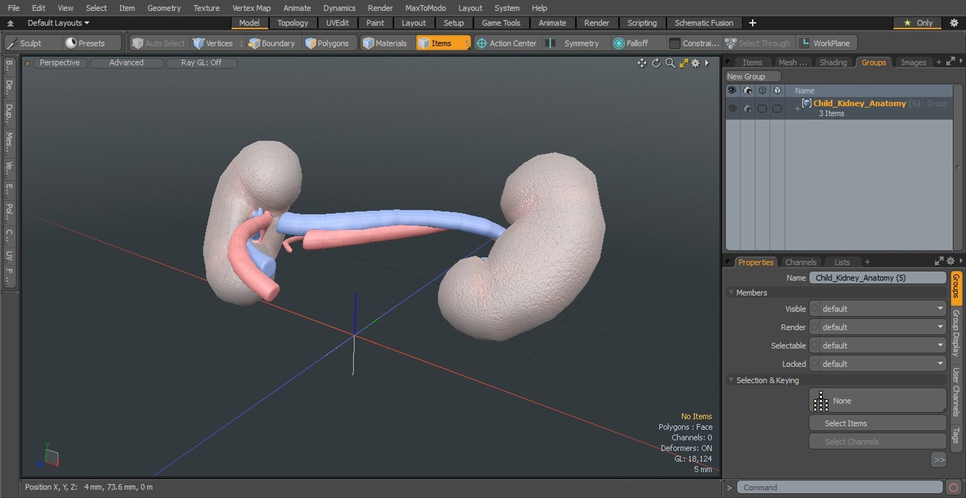 3D Child Kidney Anatomy model https://p.turbosquid.com/ts-thumb/PX/59QTiJ/aD/childkidneyanatomyvray3dmodel024/jpg/1639556734/1920x1080/fit_q87/12ea74367a4e348421bc448882c7c16fe926b7d3/childkidneyanatomyvray3dmodel024.jpg