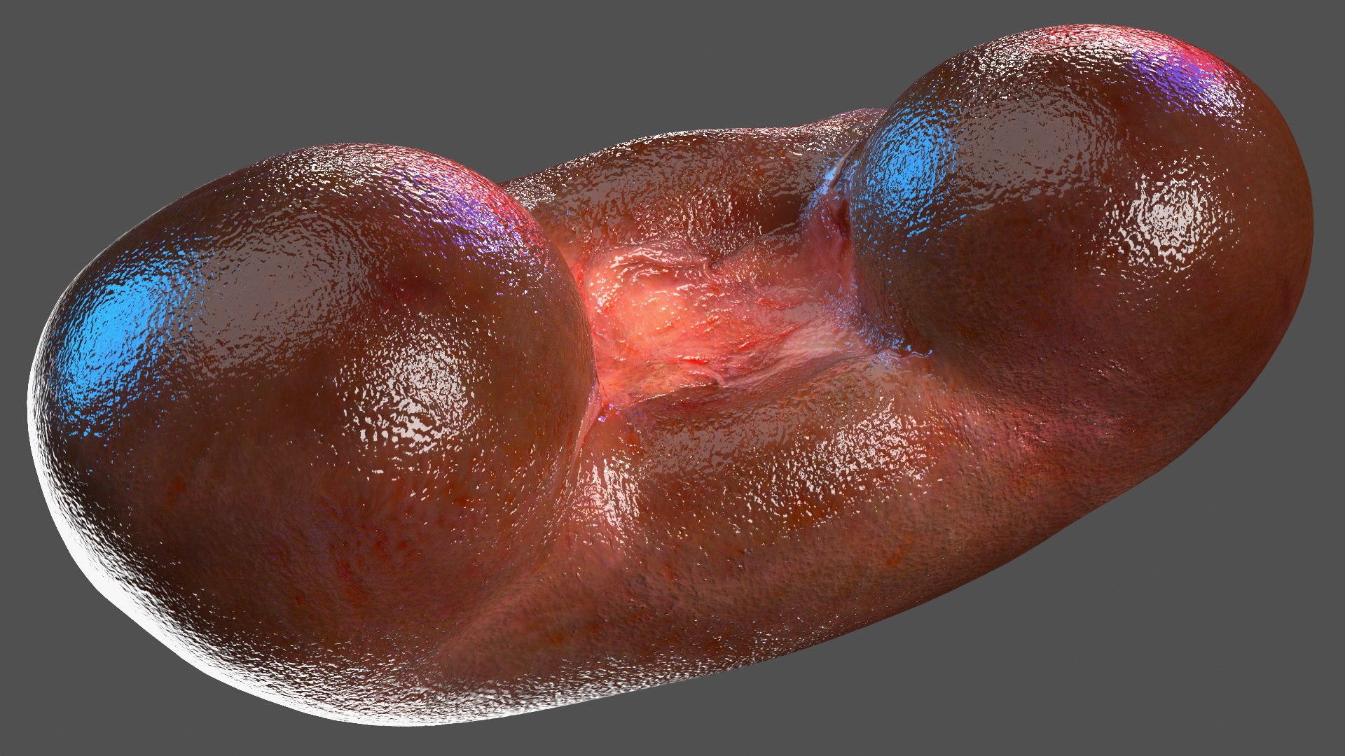 3D Child Kidney Anatomy model https://p.turbosquid.com/ts-thumb/PX/59QTiJ/bw/childkidneyanatomyvray3dmodel008/jpg/1639556687/1920x1080/fit_q87/bceb36ff8adc8ccf05b9fa44818fd784f9499e7d/childkidneyanatomyvray3dmodel008.jpg