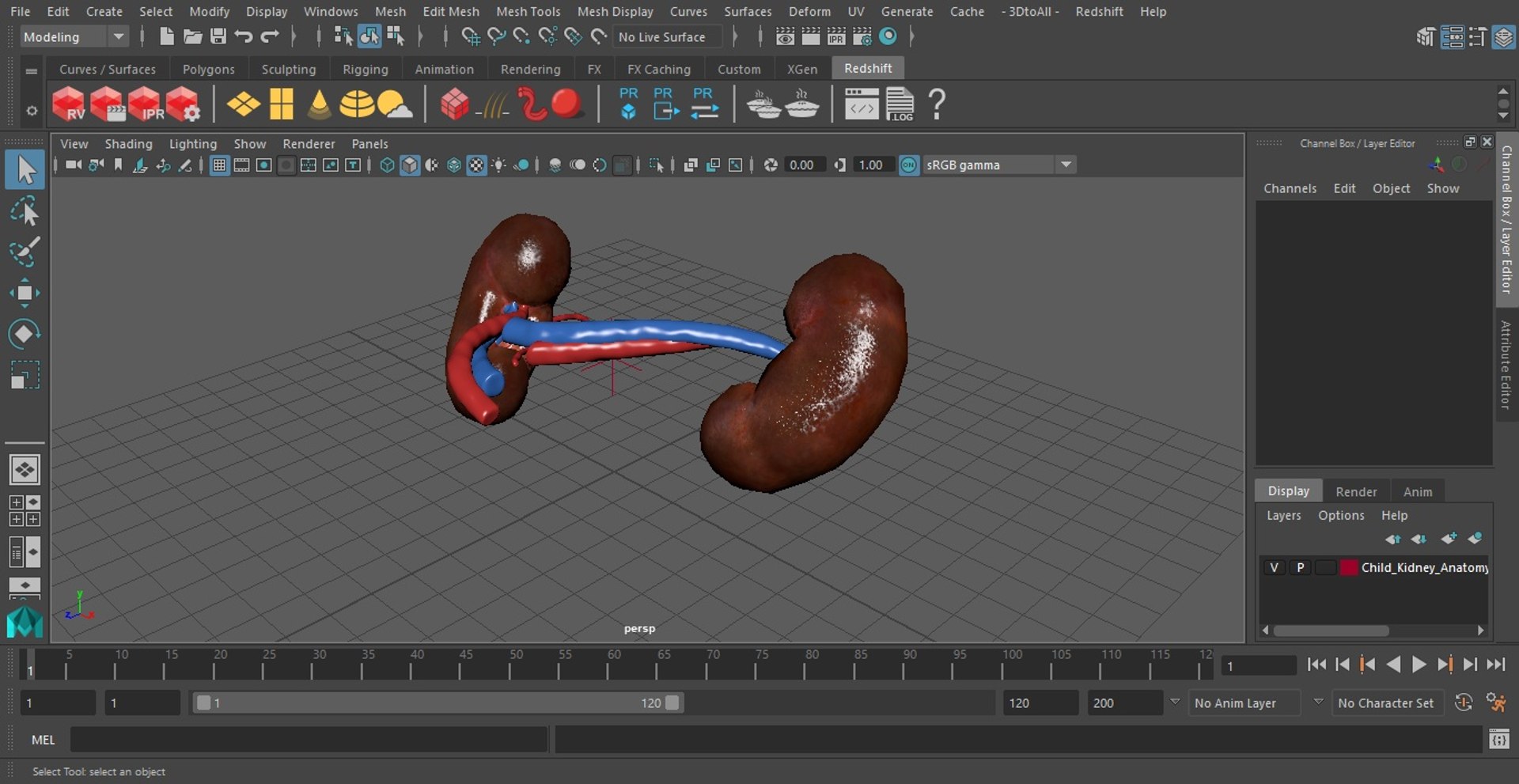 3D Child Kidney Anatomy model https://p.turbosquid.com/ts-thumb/PX/59QTiJ/dz/childkidneyanatomyvray3dmodel022/jpg/1639556730/1920x1080/fit_q87/c29e1a934408bf41e5f24aac365e2f9eb3100c3e/childkidneyanatomyvray3dmodel022.jpg