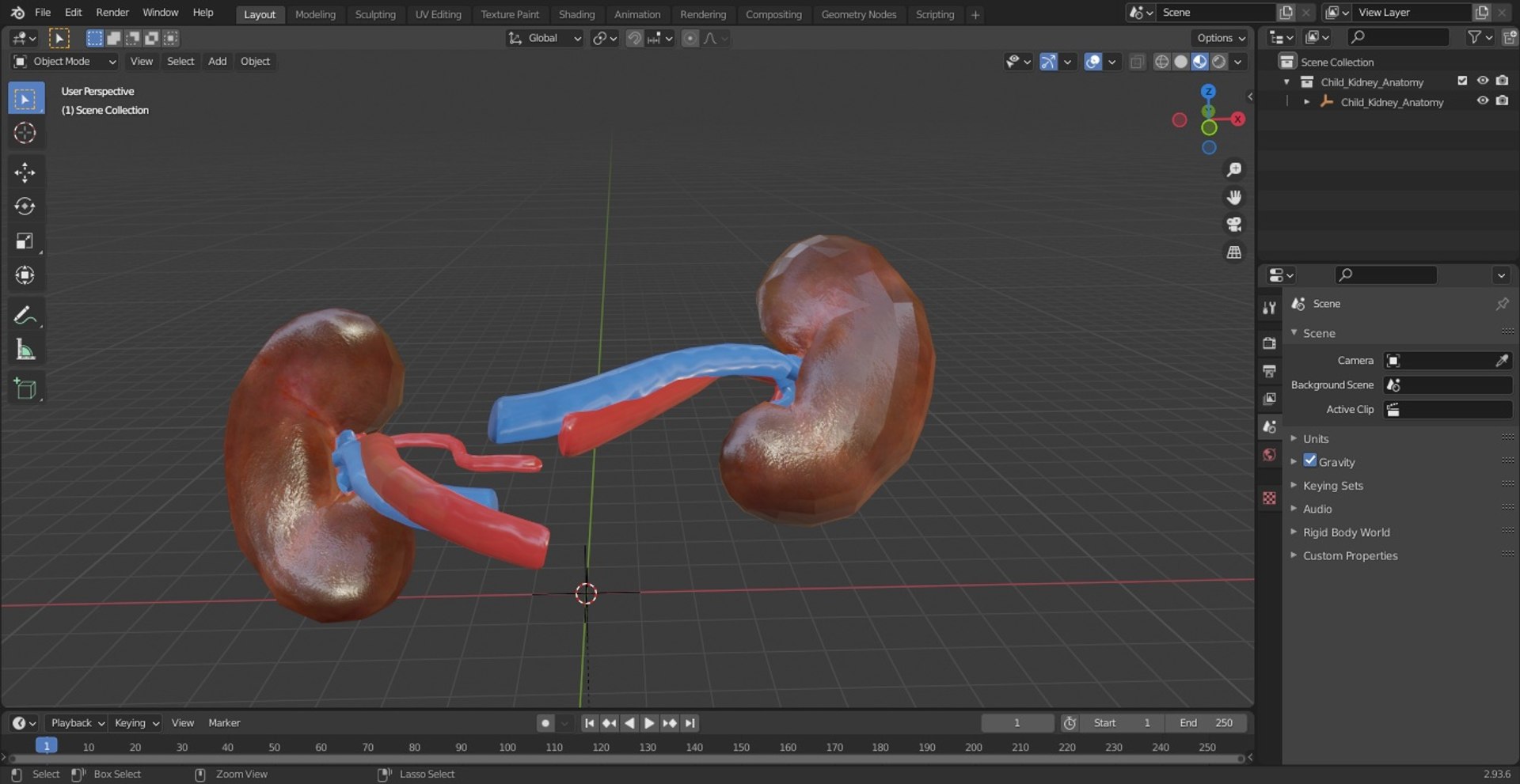 3D Child Kidney Anatomy model https://p.turbosquid.com/ts-thumb/PX/59QTiJ/gw/childkidneyanatomyvray3dmodel023/jpg/1639556732/1920x1080/fit_q87/d85de0efe08aafa142e4ca9ca1372521ba74dc88/childkidneyanatomyvray3dmodel023.jpg