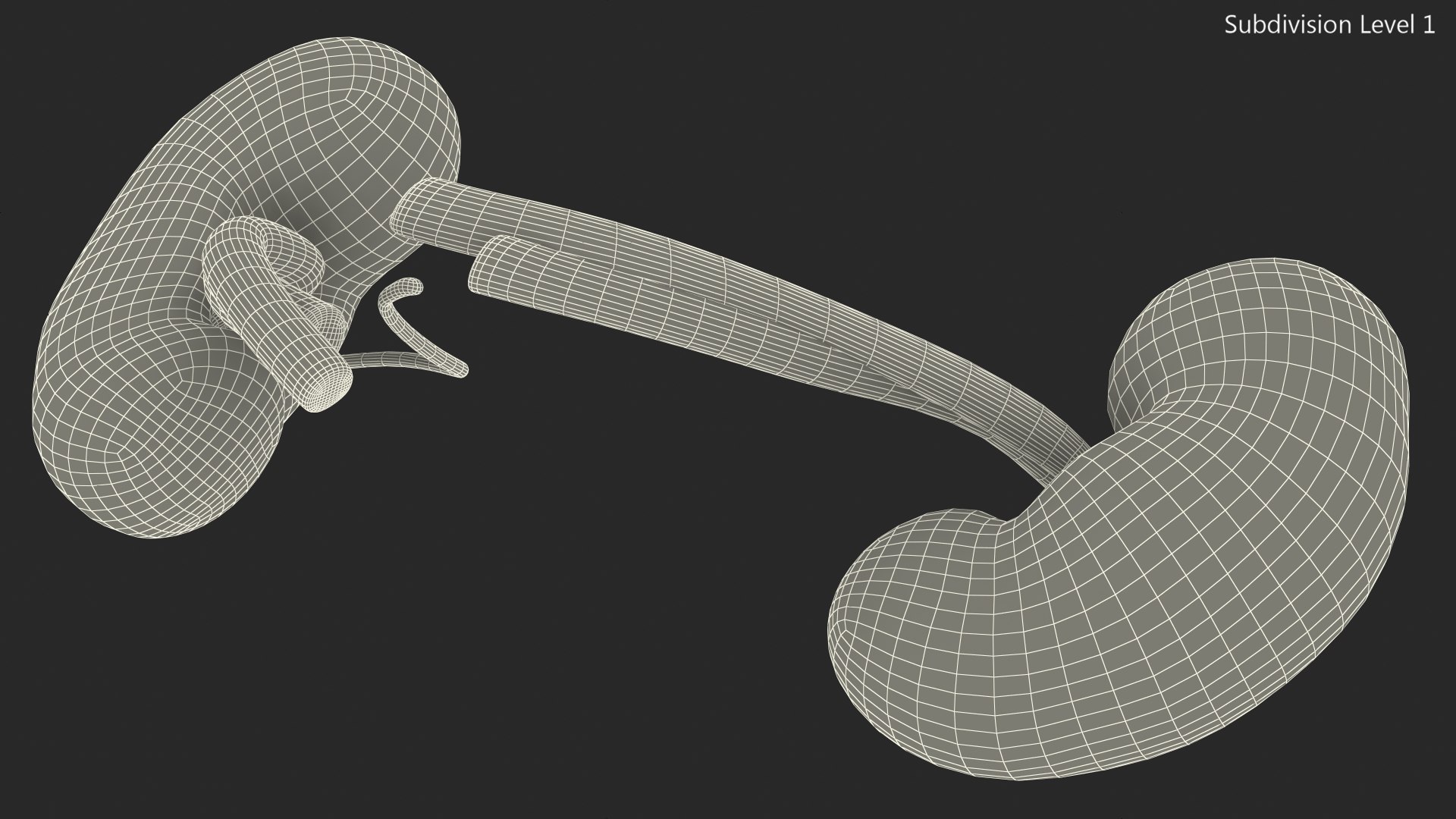 3D Child Kidney Anatomy model https://p.turbosquid.com/ts-thumb/PX/59QTiJ/tS/childkidneyanatomyvray3dmodel018/jpg/1639556717/1920x1080/fit_q87/7c71f943e370068ff527957b087adc897a1e098d/childkidneyanatomyvray3dmodel018.jpg