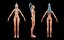 Modello 3D di elfo del sangue femminile modulare completamente personalizzabile di alta qualità