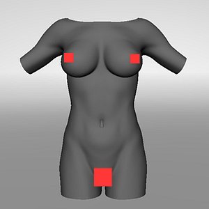 Realistic Female Torso