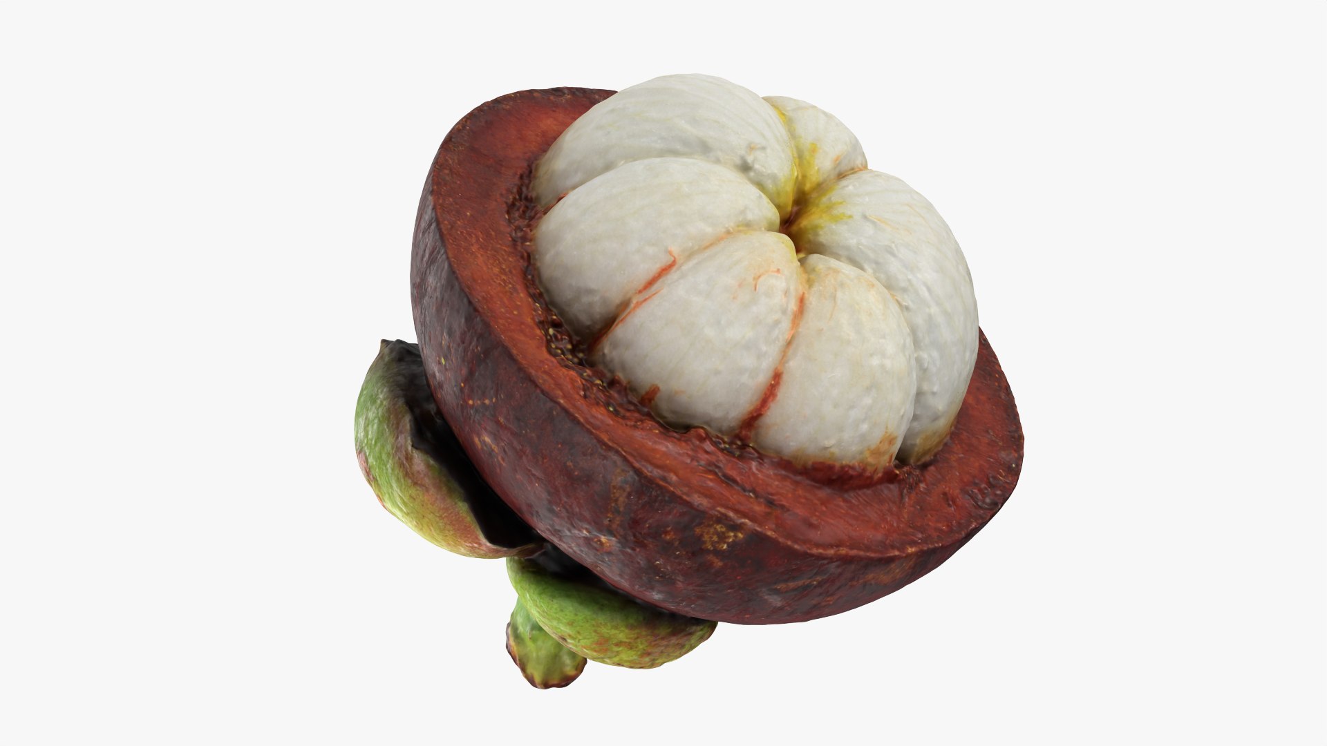 Half Mangosteen 01 3D model https://p.turbosquid.com/ts-thumb/PX/IBEadJ/AP/mangosteencut01_0006/png/1766240723/1920x1080/fit_q87/a5c7c8ba4435cbce8c45140d20a674366b80f6b2/mangosteencut01_0006.jpg