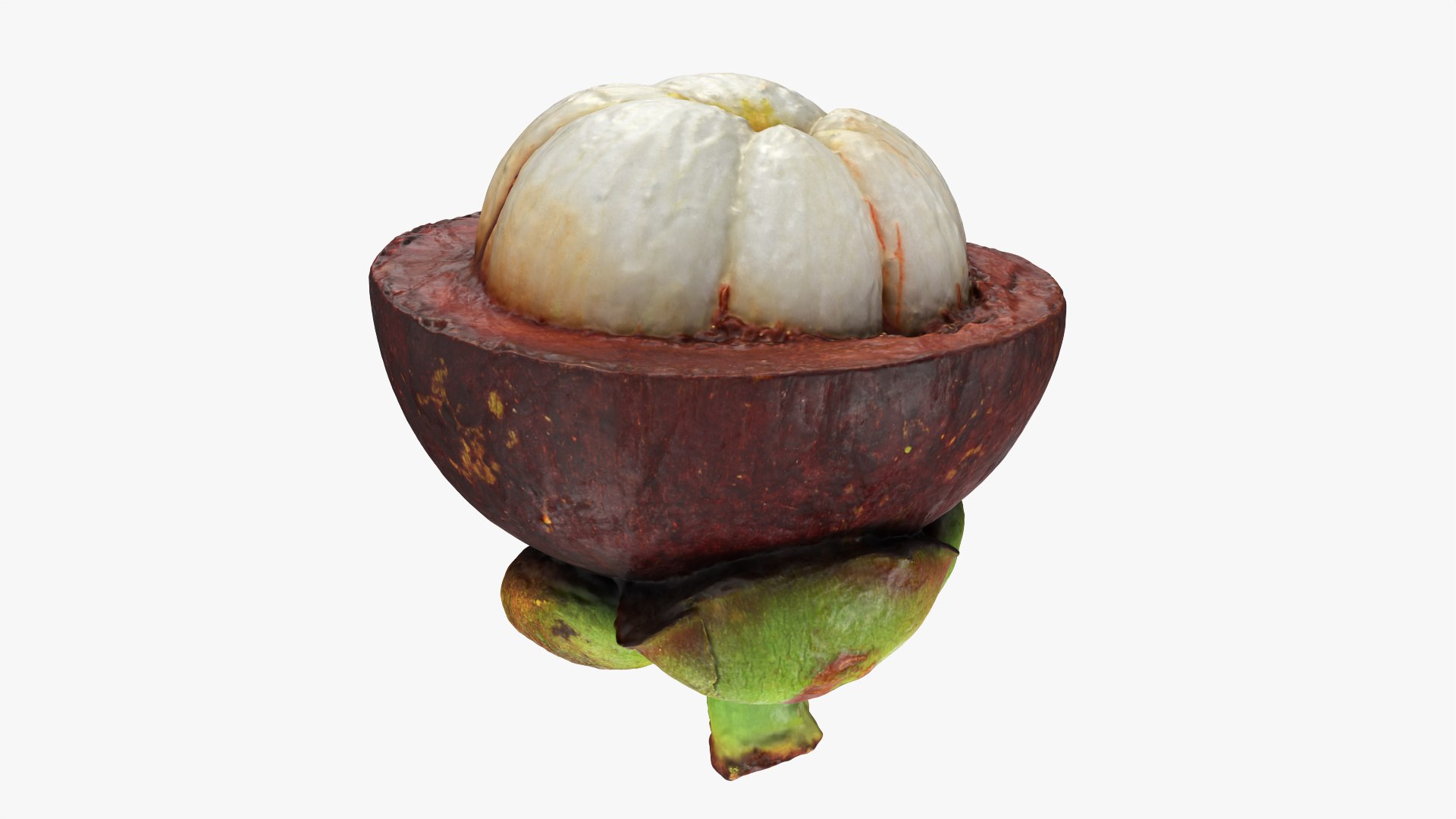 Half Mangosteen 01 3D model https://p.turbosquid.com/ts-thumb/PX/IBEadJ/Bh/mangosteencut01_0012/png/1766240740/1920x1080/fit_q87/da4e9ab5d97228570c2076aec0f9255c4f64e05b/mangosteencut01_0012.jpg