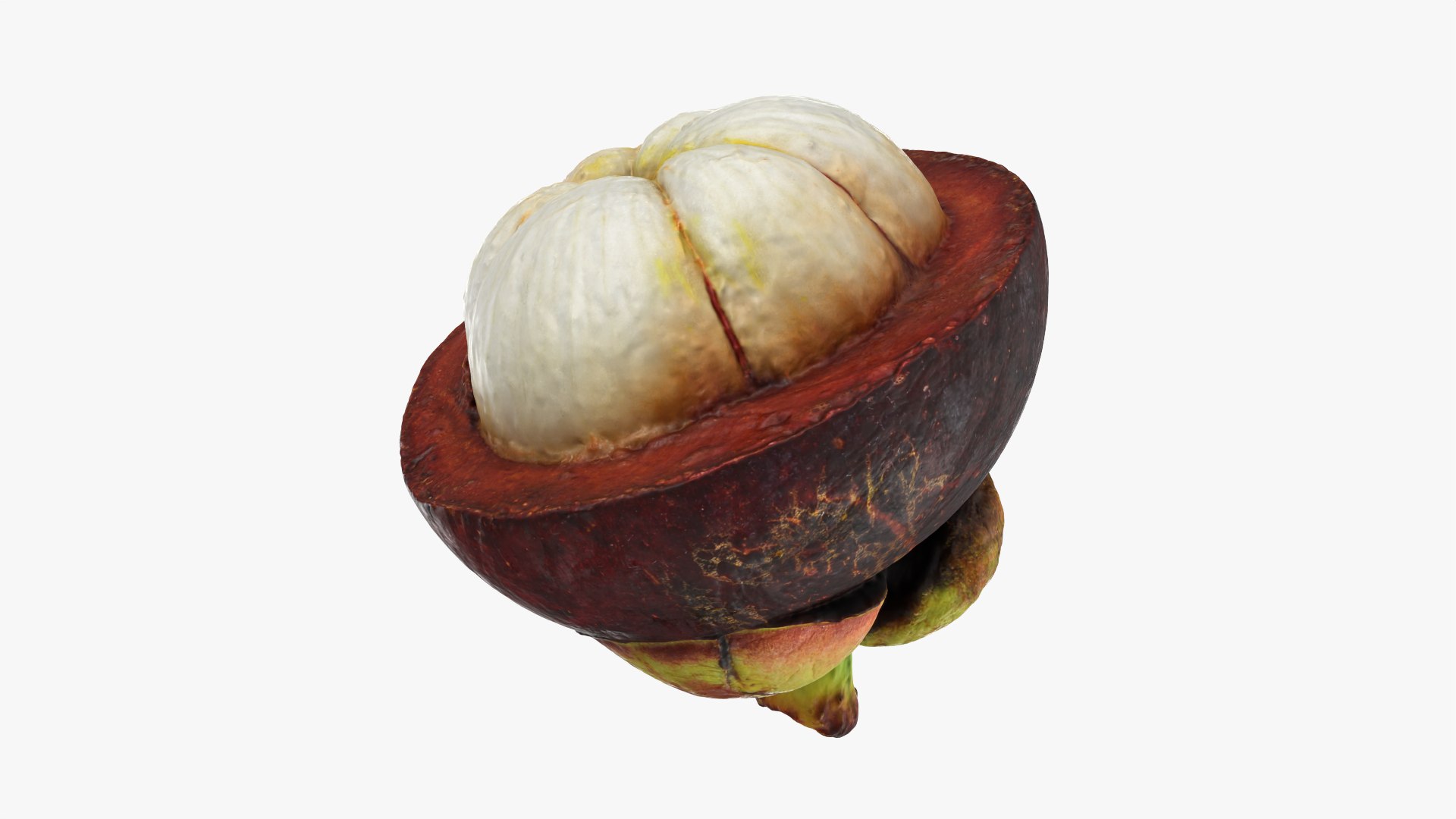 Half Mangosteen 01 3D model https://p.turbosquid.com/ts-thumb/PX/IBEadJ/DB/mangosteencut01_0003/png/1766240710/1920x1080/fit_q87/cf6ffee954019de1da147d5cda719ad5e4424882/mangosteencut01_0003.jpg
