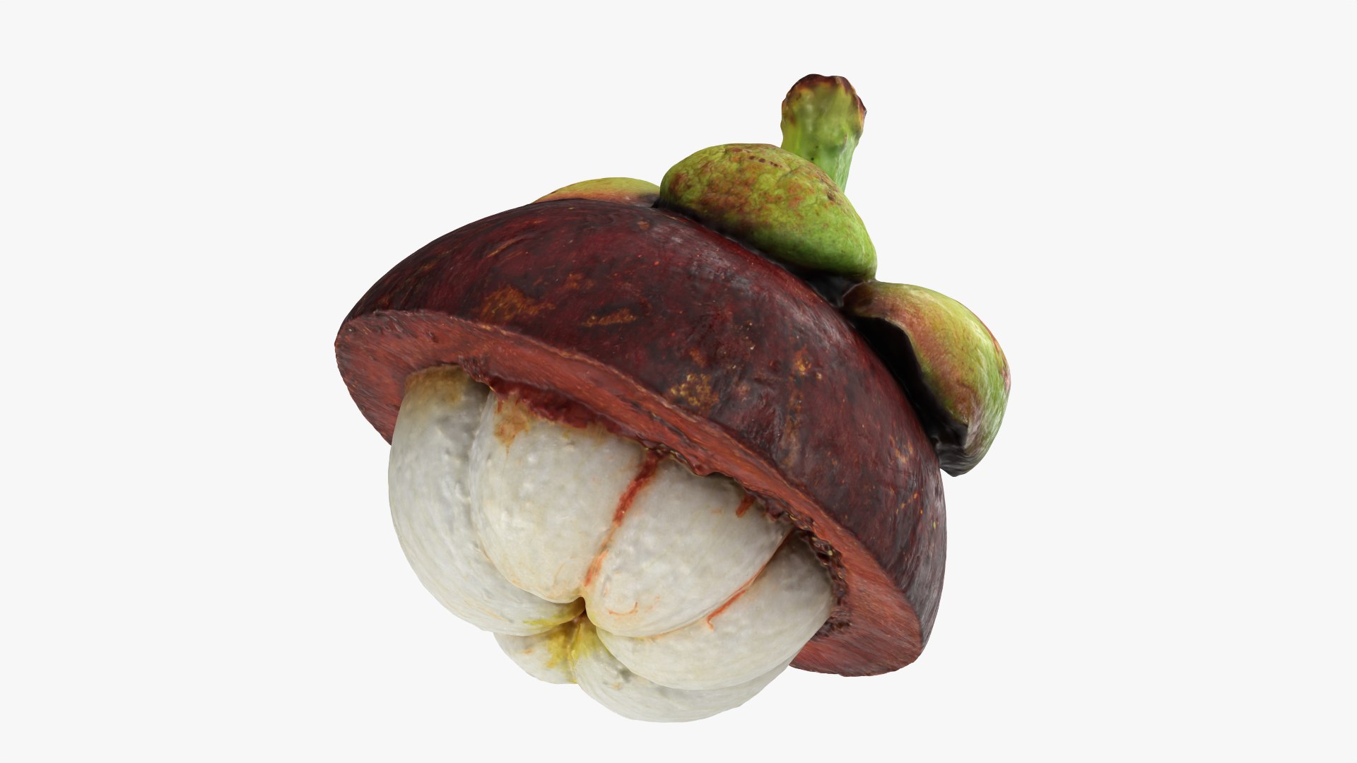 Half Mangosteen 01 3D model https://p.turbosquid.com/ts-thumb/PX/IBEadJ/Gj/mangosteencut01_0010/png/1766240734/1920x1080/fit_q87/a100cf3f4268d139bb4b31e8245bafc05b8e0947/mangosteencut01_0010.jpg