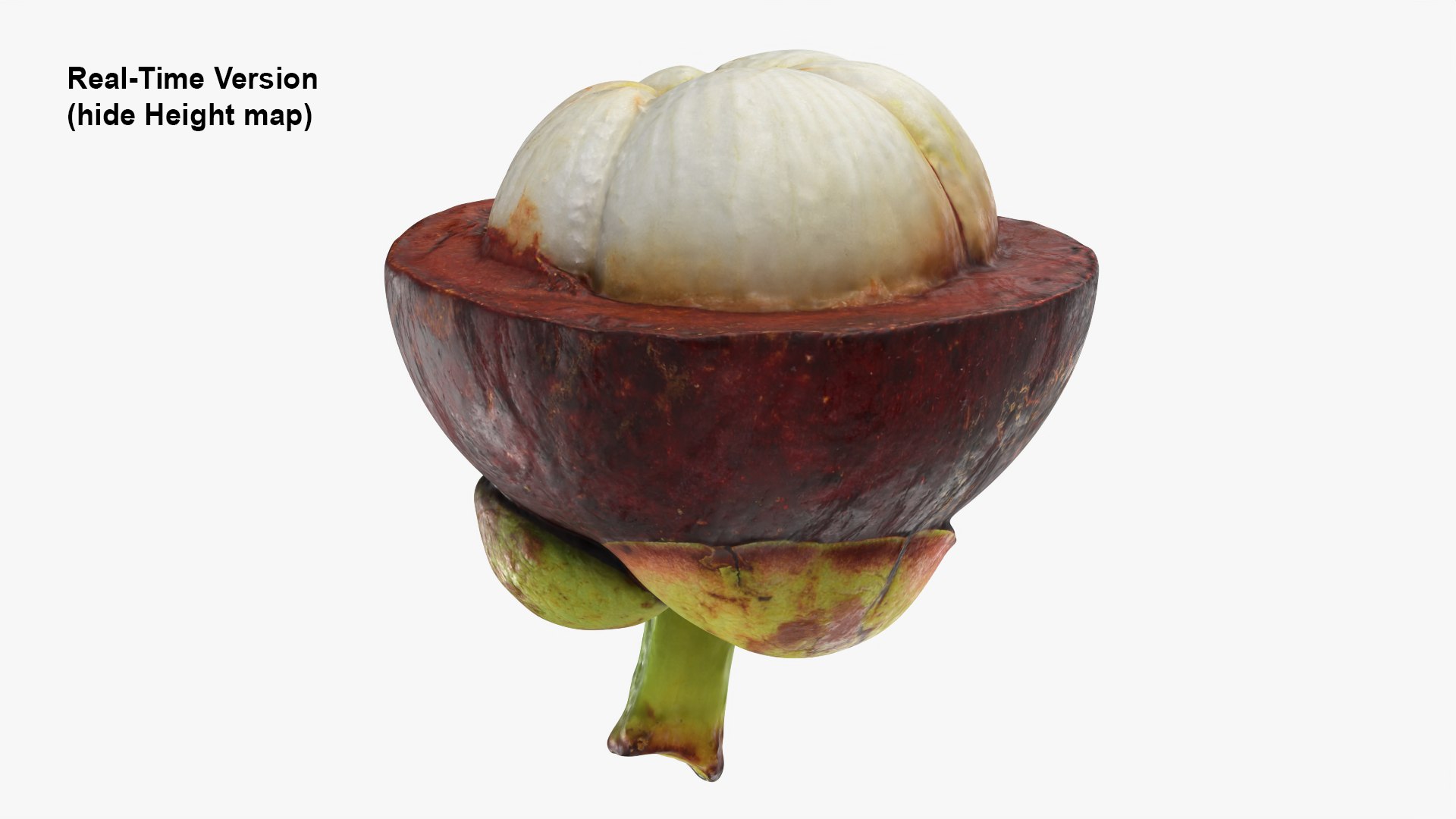 Half Mangosteen 01 3D model https://p.turbosquid.com/ts-thumb/PX/IBEadJ/Mn/mangosteencut01_0004b/png/1766240717/1920x1080/fit_q87/6decf864d5a77e52a0d0b25c1c21cd0ac94ec861/mangosteencut01_0004b.jpg