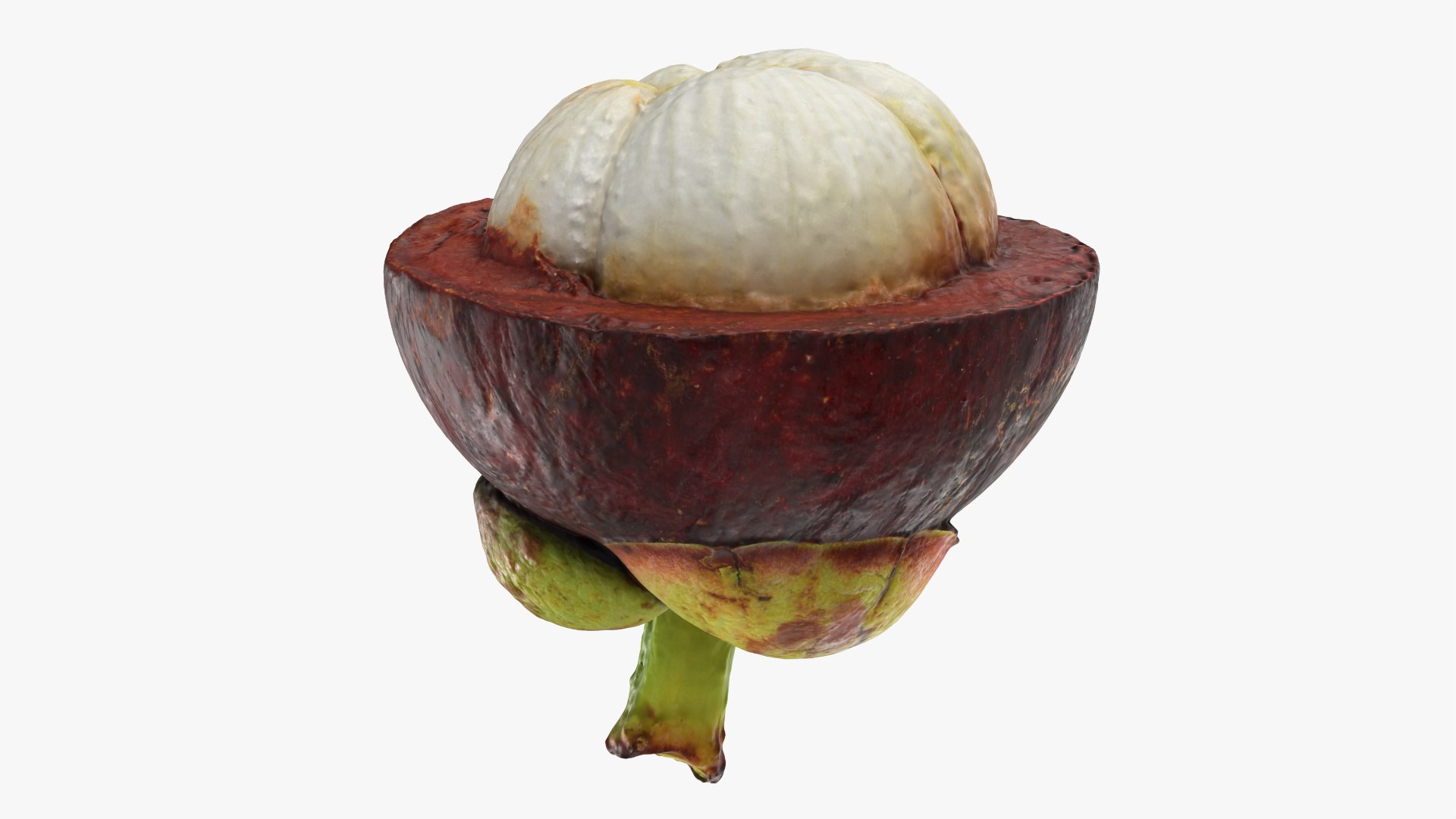 Half Mangosteen 01 3D model https://p.turbosquid.com/ts-thumb/PX/IBEadJ/O6/mangosteencut01_0004/png/1766240715/1920x1080/fit_q87/9317472bbe835816ecc4ffa0c6f0cf8d25e2c00f/mangosteencut01_0004.jpg