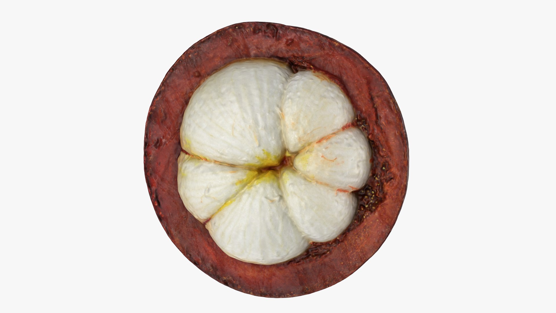 Half Mangosteen 01 3D model https://p.turbosquid.com/ts-thumb/PX/IBEadJ/OU/mangosteencut01_0007/png/1766240726/1920x1080/fit_q87/ca8a711d97d4c34ccc95460b623005ac4da57d47/mangosteencut01_0007.jpg