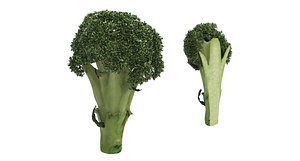 broccoli vegetable food model