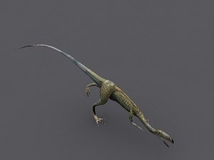 Compsognathus Dinosaur Run Pose 3D Model 3D Model $139 - .3ds .c4d