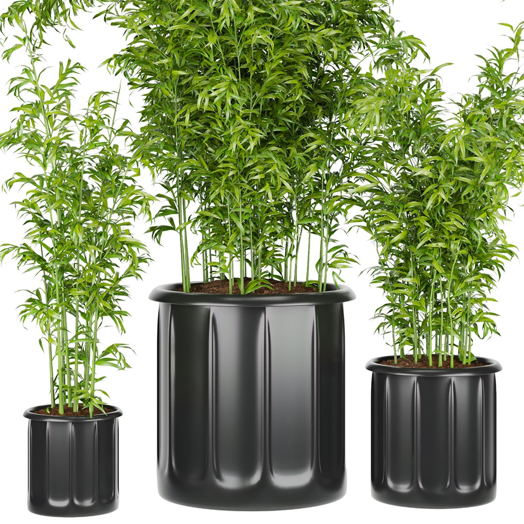 Collection plant vol 96 - bamboo 3D model https://p.turbosquid.com/ts-thumb/PX/VniJd1/T8/5/jpg/1648457733/1920x1080/fit_q87/1a6cfc05902e1b07dc16fed7e7fc90d3f7f6debd/5.jpg