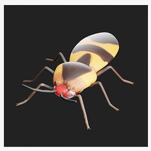 3D Bug 3D Model model